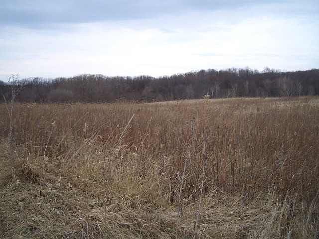 2nd image of Interbay