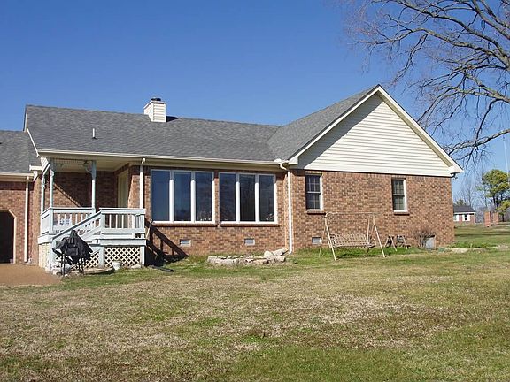 Back View