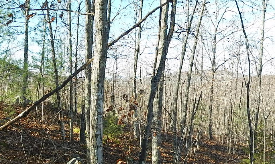 2nd image of 0 Pequawket Trl