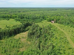 65305 Orth Tower Rd LOT WP001, Northome, MN 56661