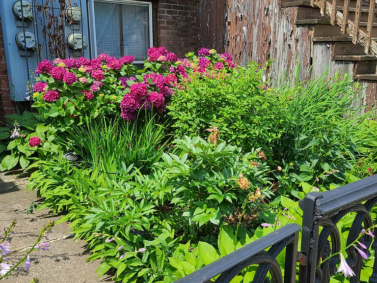 28 Trumbull St #1 — Photo 3