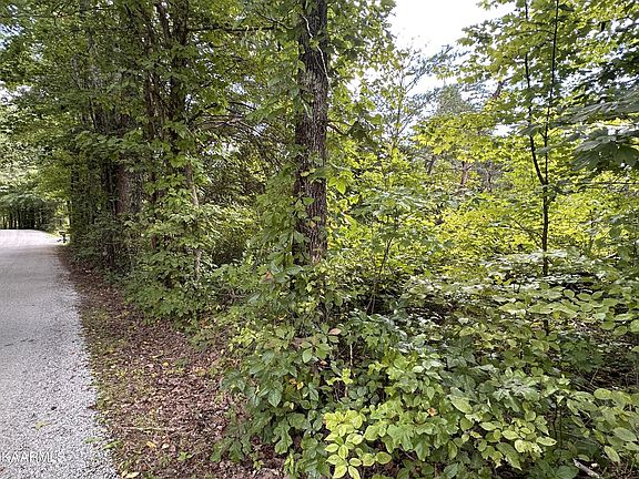 3rd image of 337 Panther Branch Ct