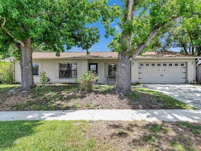 15820 Sapwood St, Tampa, FL, 33624
