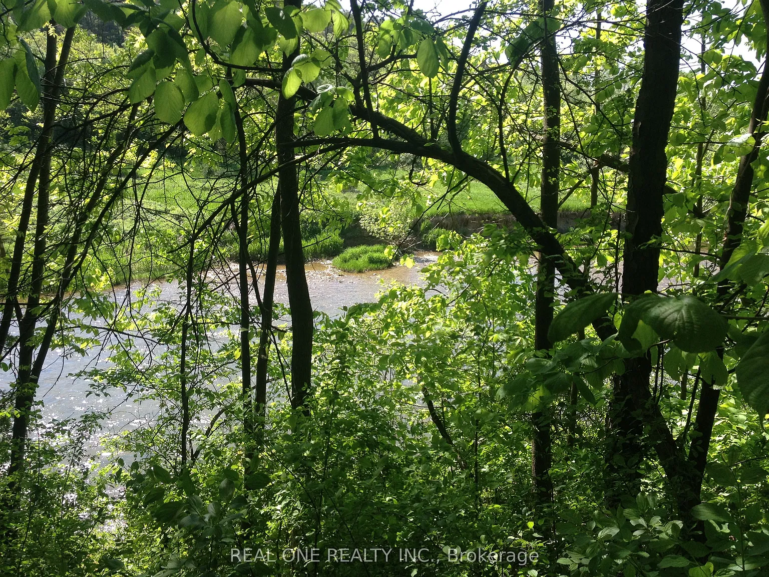 1 bed, $1,700 — Photo 2