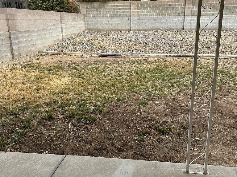 Backyard view