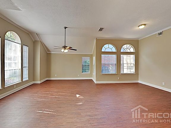 4th image of 8618 Plum Lake Dr
