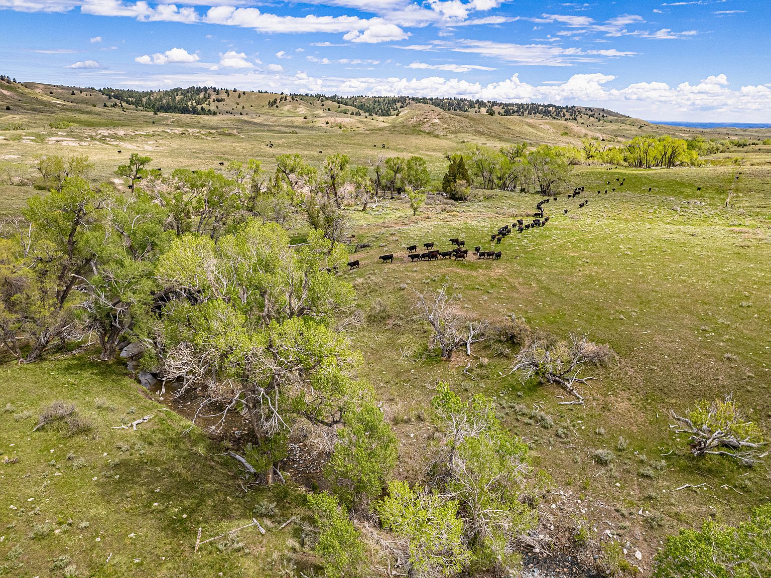 Horseshoe Creek Rd, Glendo, WY 82213 Zillow