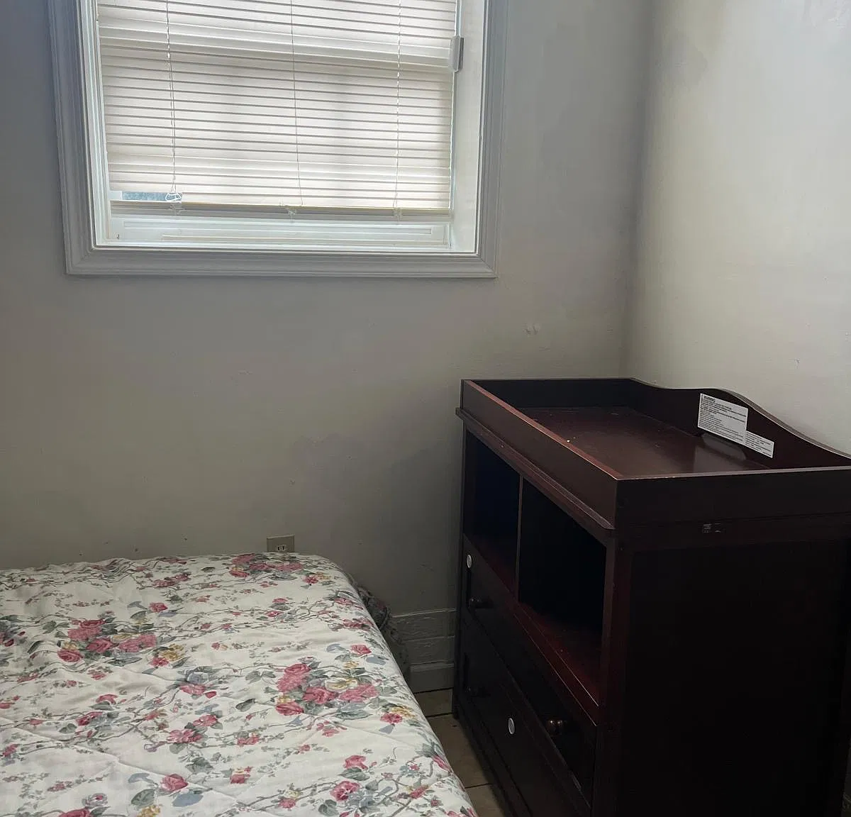 3 bed, 2504 sqft, $750 — Photo 2