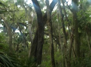 43 Steeplechase Trl, Flagler Beach, FL 32136