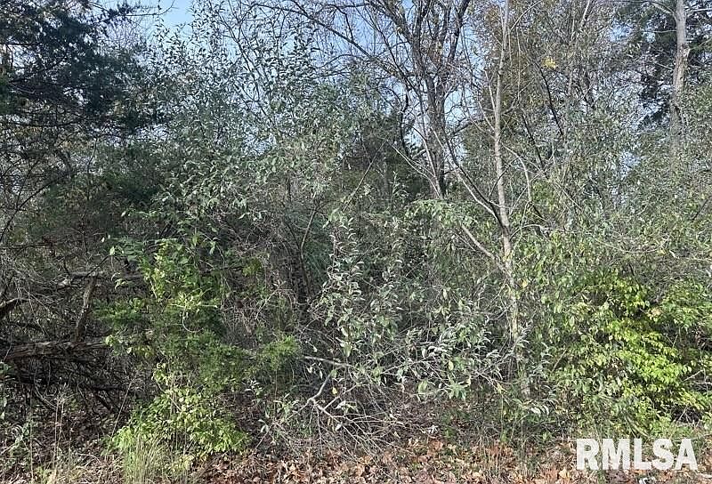 1st image of 177 Sycamore Dr