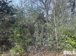 177 Sycamore Dr, Goreville, IL 62939