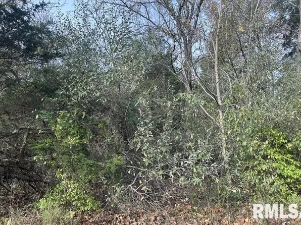 177 Sycamore Dr, Goreville, IL 62939