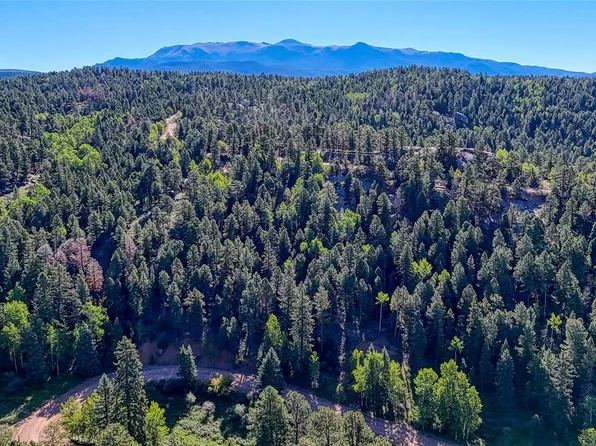 776 Spring Valley Lane LOT 1088, Florissant, CO 80816