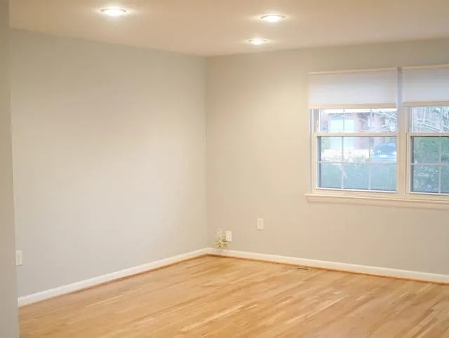 19 Theo Ln — Photo 8