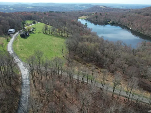 299-301 Stump Pond Road, Livingston Manor, NY 12758