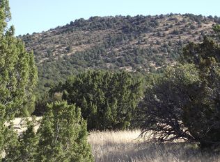 1477 E Indian Blanket Rd #523, Williams, AZ 86046