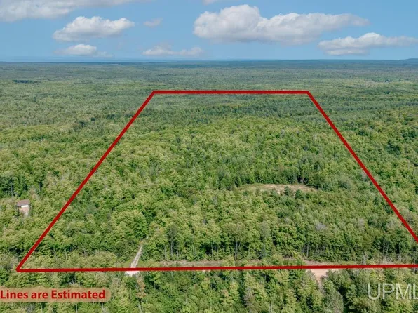 673 & 685 Yalmer Rd, Skandia, MI 49885