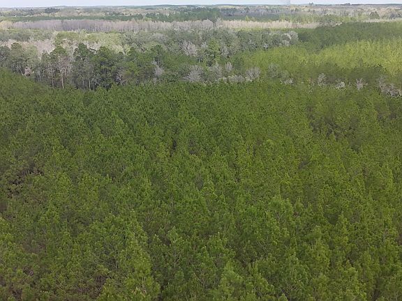 5th image of TRACT Mattox Springs Rd N #2