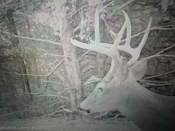 3rd image of 0 County Road 1290 E