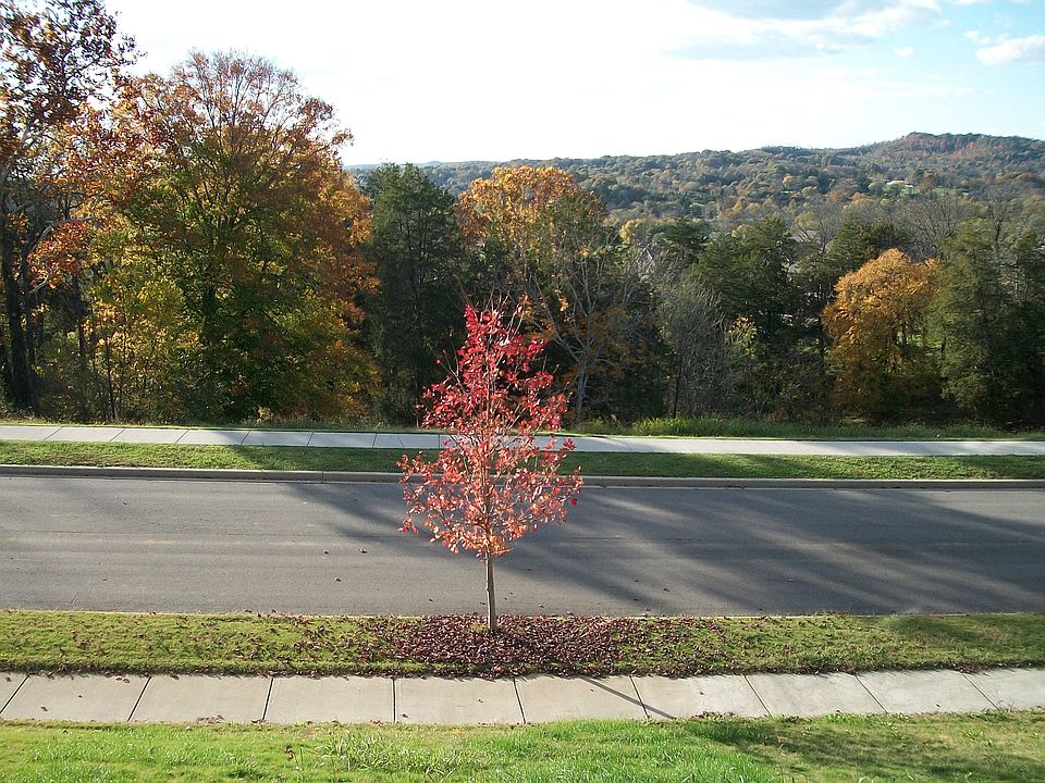 1st image of 223 Sydney Dr