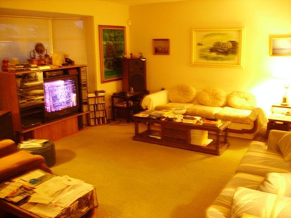 Large Living Room