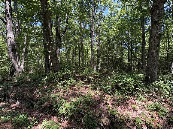 5th image of 25 N Bluff Point Rd