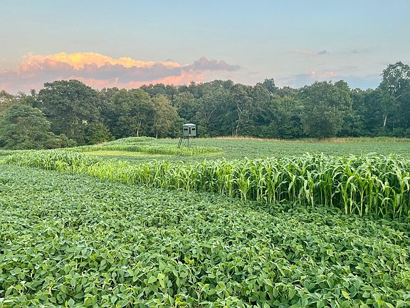 3rd image of 0 Stoneburner Rd NW