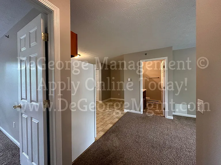 Big Tree Apartments — Photo 21