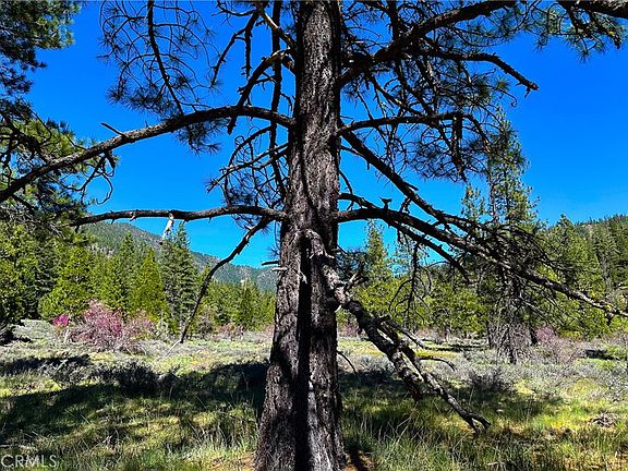 2nd image of 79402 State Highway 3