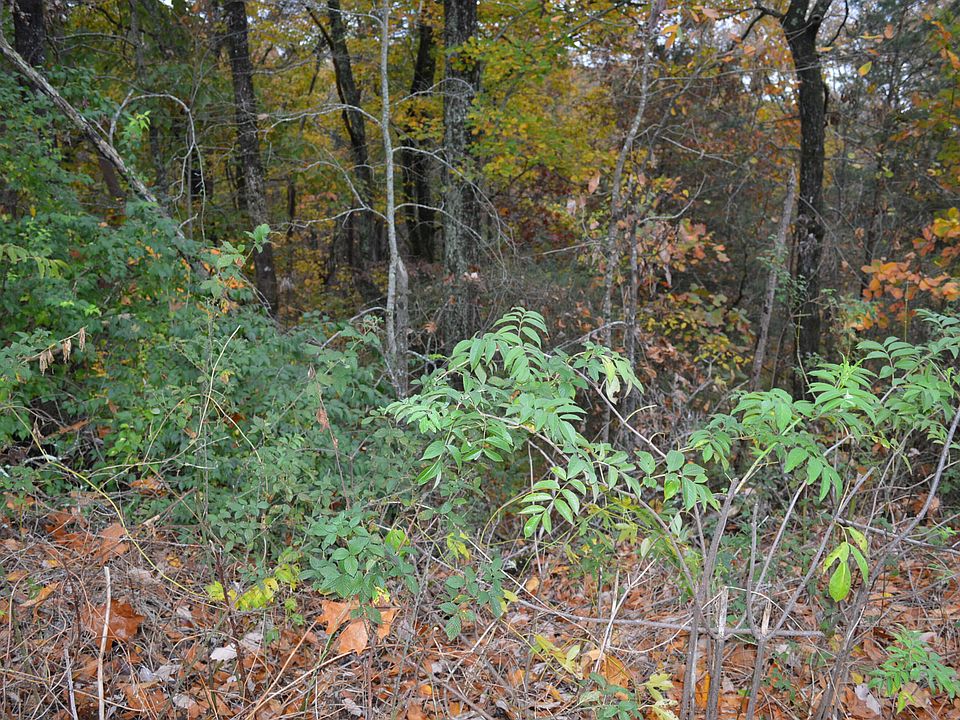 1st image of LOT 3 Hickory Hills Dr NE