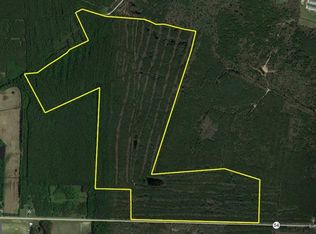 Line Rd, Delmar, DE 19940