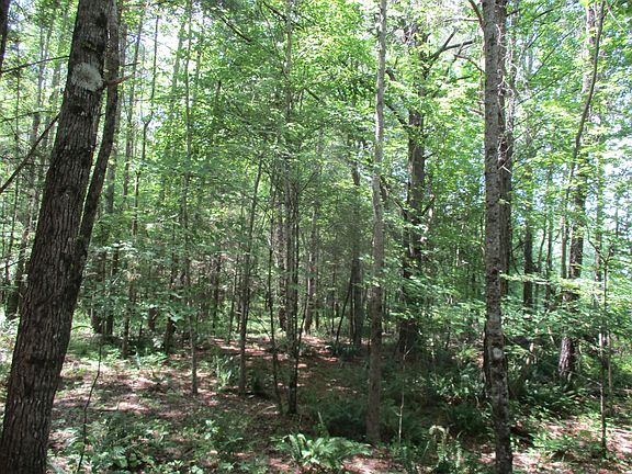 4th image of Center Hill Rd