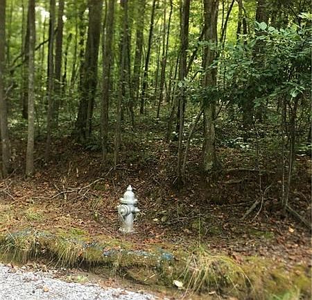 5th image of 617 Byrd Mountain Ln