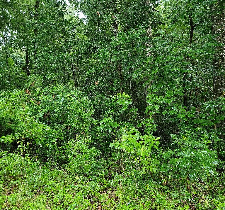 2nd image of Lot 38 SE 932nd St