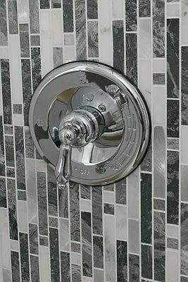 Rented by Evergreen Apartments BK | media 41