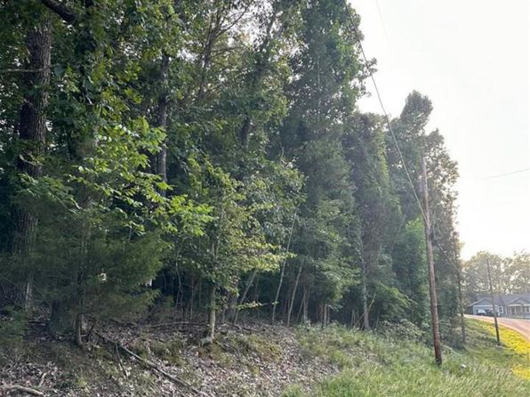 539 Strawberry Hill Dr, Brandenburg, KY 40108