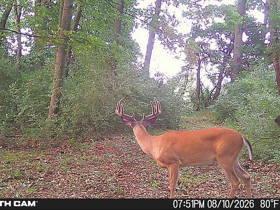 3rd image of 8972 College Ave