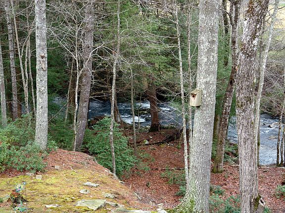 2nd image of 22 Castlebridge Ln