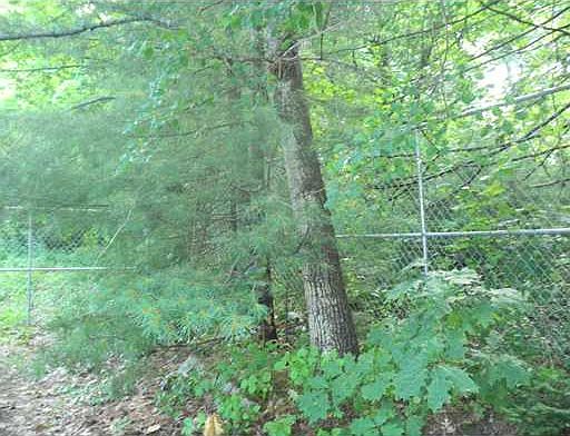 2nd image of 9 Amerescoggin Rd