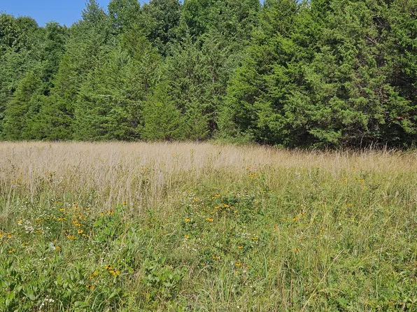 000 Lilac Lane #Tract 4, Rogersville, MO 65742
