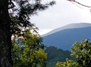 Willard Mountain Rd, Blue Ridge, GA 30513