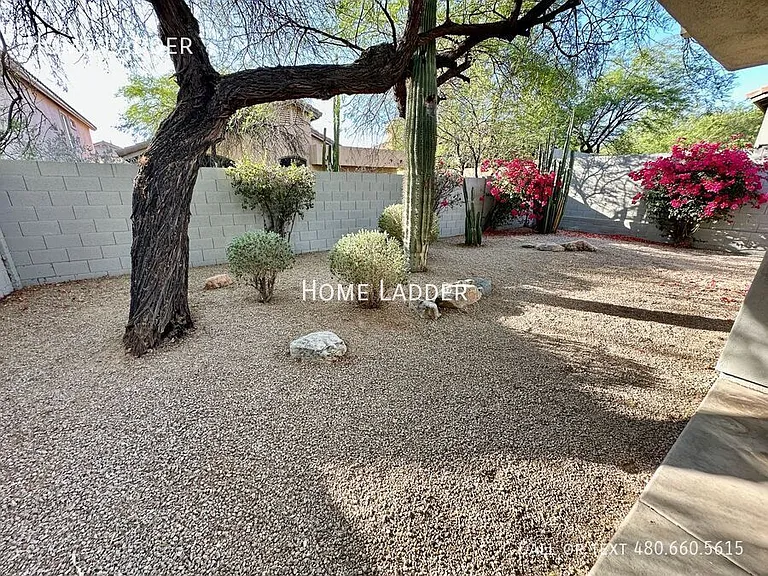 10518 E Star Of The Desert Dr — Photo 20