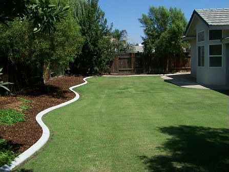 Huge Yard