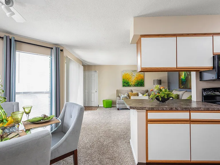 Open Floor Plan Living Area