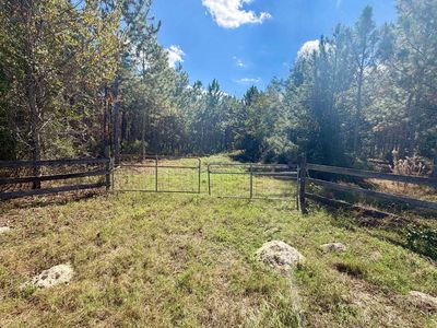 0 178th St, Mc Alpin, FL, 32062