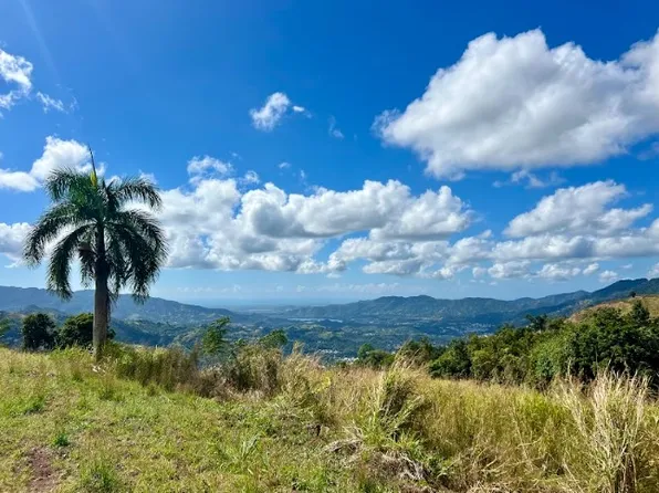 Bo Vacas Carr 561 16 Cuerdas, Villalba, PR 00766