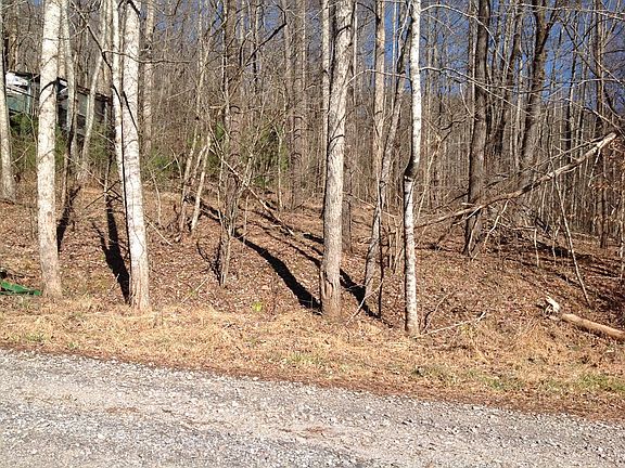2nd image of 91 Morgan Branch Dr