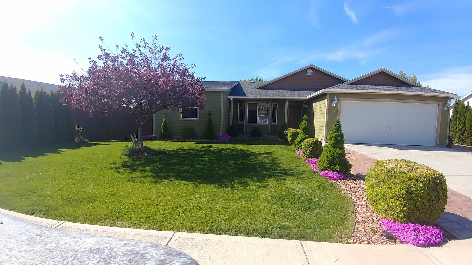 9408 Mustang Dr photo 1