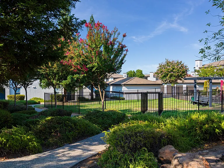 Ascent at the Galleria offers a spacious dog park, giving your furry friends a safe and fun place to run, play, and socialize right within the community.