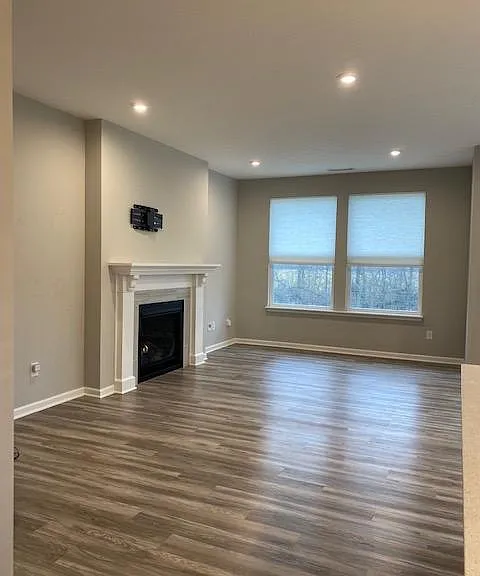 Gas fireplace